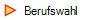    Berufswahl